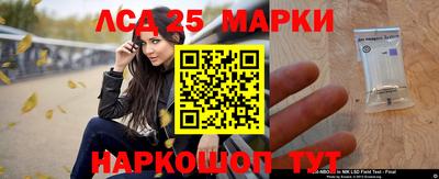 apvp Обь