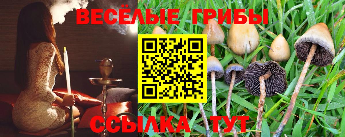 закладки  Вход с VPN  Пугачёв  Псилоцибиновые грибы прущие грибы 