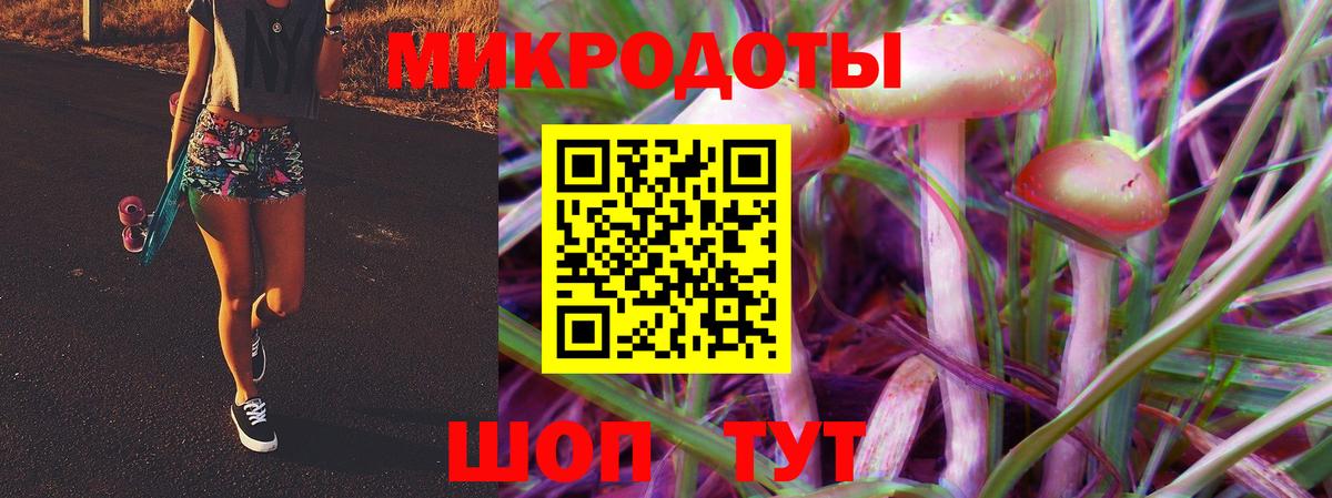 Псилоцибиновые грибы мицелий Пугачёв
