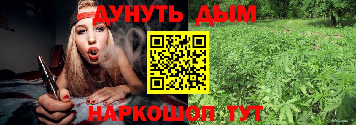 Шишки марихуана Amnesia  Вход с VPN  МАРИХУАНА тримм  Пугачёв 