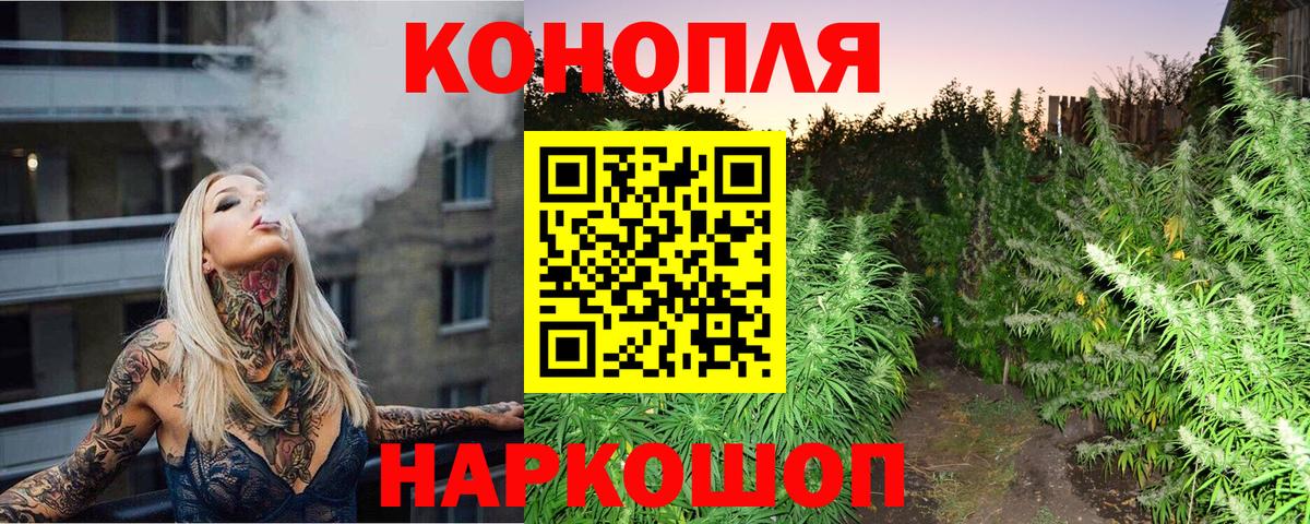 Бошки марихуана SATIVA & INDICA Пугачёв